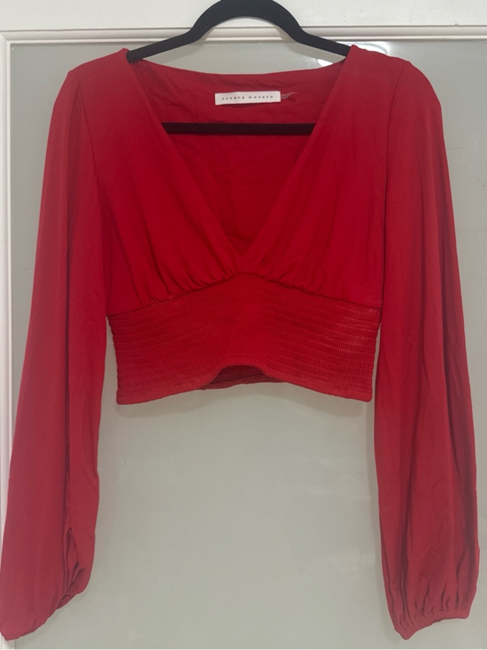 Susana Monaco Red Long-Sleeve Cropped V-Neck Top